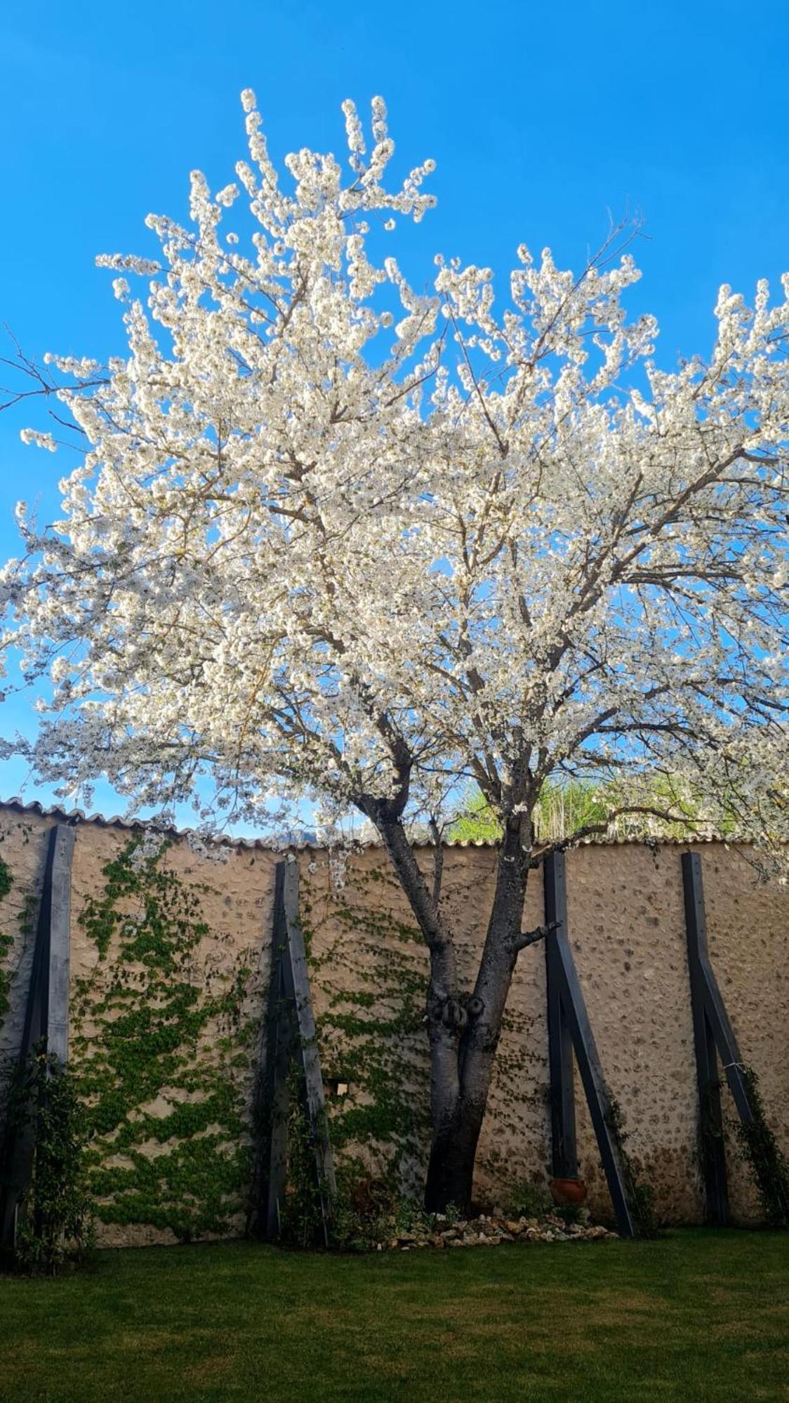 Palazzo Pirro Dimora Storica Bed & Breakfast Acciano Dış mekan fotoğraf